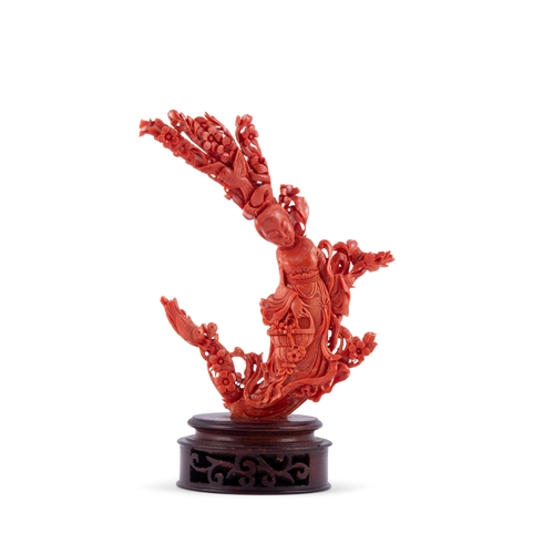 459 - *A CARVED RED CORAL GROUP OF A FEMAIL FIGURE HOLDING A BASKET OF FLOWER, WITH A WOODEN STAND  China,... 