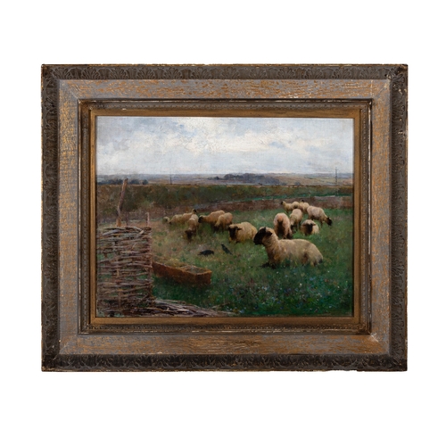 40 - Walter Frederick Osborne RHA (1859 - 1903) Sheep in a Field Oil on canvas, 36 x 47cm (14¼ x 18½) Sig... 