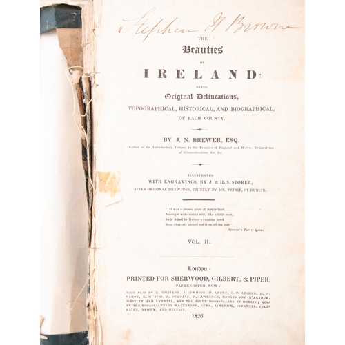 125 - A COLLECTION OF IRISH INTEREST BOOKS COMPRISING,  -Hamilton Andrews, 'The Actions of Enniskillen Men... 