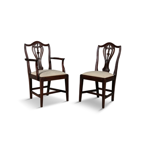 319 - A SET OF TWELVE MAHOGANY FRAMED HEPPLWHITE STYLE DINING CHAIRS   comprising two carvers and ten sing... 