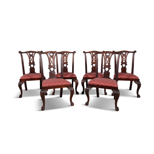 507 - A SET OF SIX IRISH CARVED MAHOGANY DINING CHAIRS  following the general design of the Malahide Castl... 