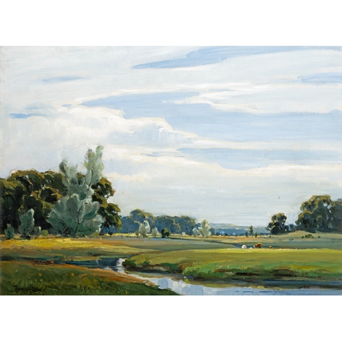 Lot 29        