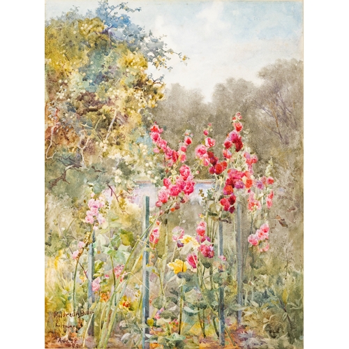Lot 5         