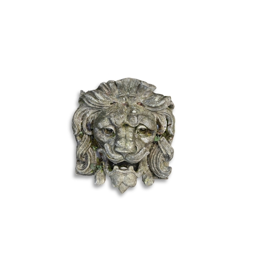Lot 61        