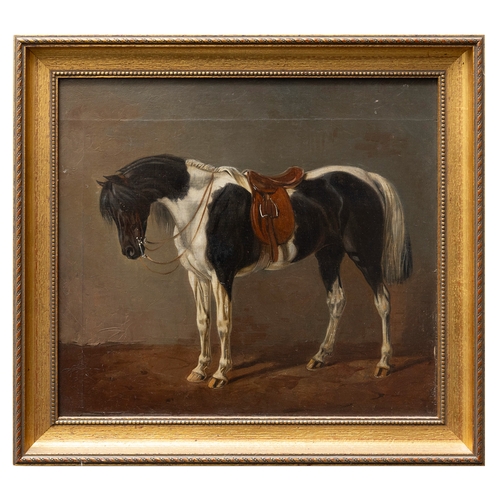 Lot 30        