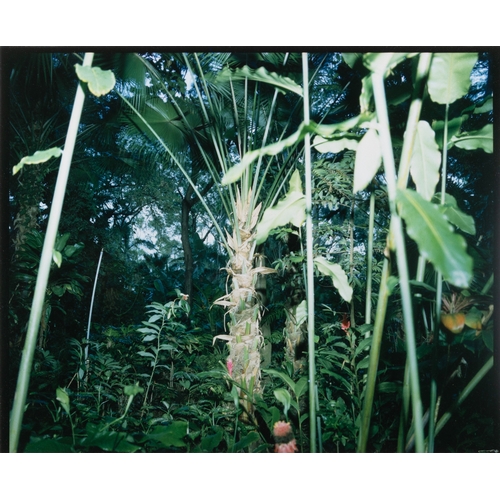 29 - RICHARD MISRACH (B.1949)  Hawaii Dye transfer print, 38.5 x 47.5cm Edition 29/50 Signed and dated 19... 