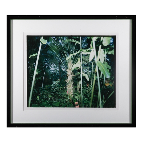 29 - RICHARD MISRACH (B.1949)  Hawaii Dye transfer print, 38.5 x 47.5cm Edition 29/50 Signed and dated 19... 