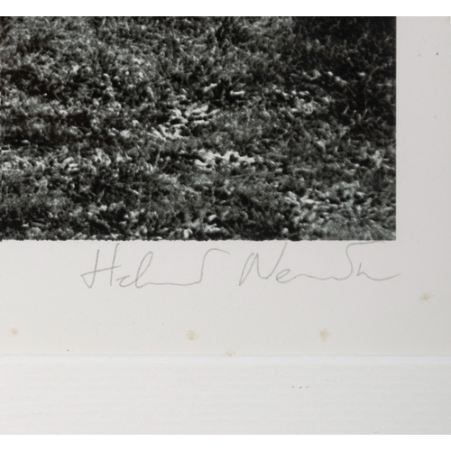 47 - HELMUT NEWTON (1920-2004)  Untitled  Photo Lithograph, 35.5 x 23cm Signed