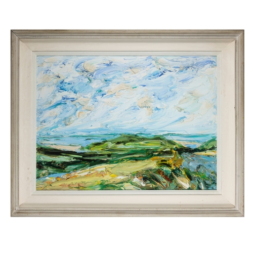 118 - Michael Flaherty (b.1950)  Drom from Conor Pass Oil on board, 45 x 60cm (17¾ x 23¾'') Signed