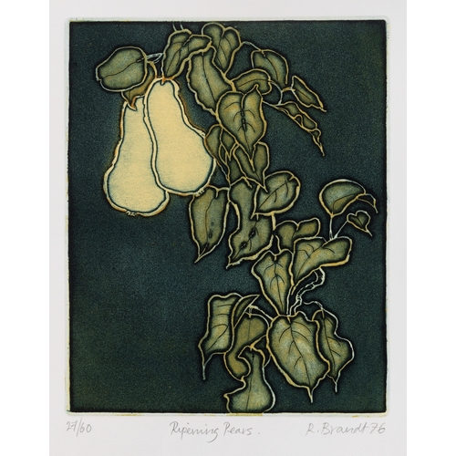 25 - Ruth Brandt (1936-1989) Ripening pears  Etching, 24.5 x 19.5cm Signed, inscribed, numbered 27/60 and... 