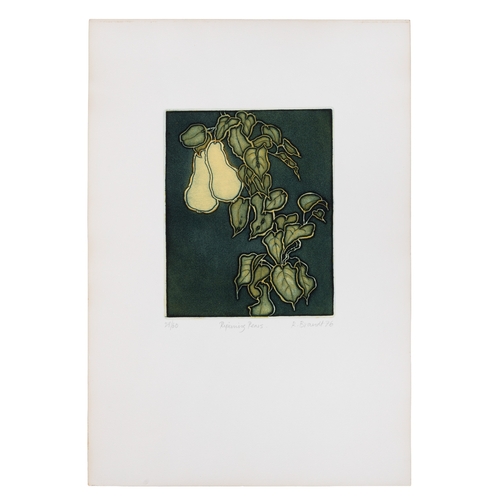 25 - Ruth Brandt (1936-1989) Ripening pears  Etching, 24.5 x 19.5cm Signed, inscribed, numbered 27/60 and... 