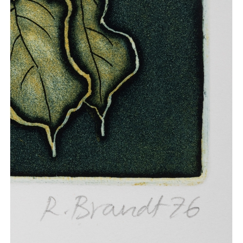 25 - Ruth Brandt (1936-1989) Ripening pears  Etching, 24.5 x 19.5cm Signed, inscribed, numbered 27/60 and... 
