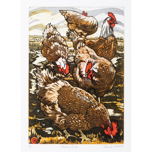 5 - PAMELA LEONARD (B.1940)  Pecking Order  Etching, 26 x 19cm  Signed, inscribed with title and numbere... 