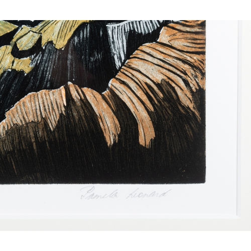 7 - PAMELA LEONARD (B.1940)  Ships Passing  Etching, 32 x 38cm  Signed, inscribed with title and numbere... 