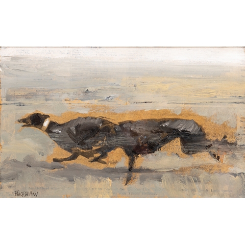 Lot 20        