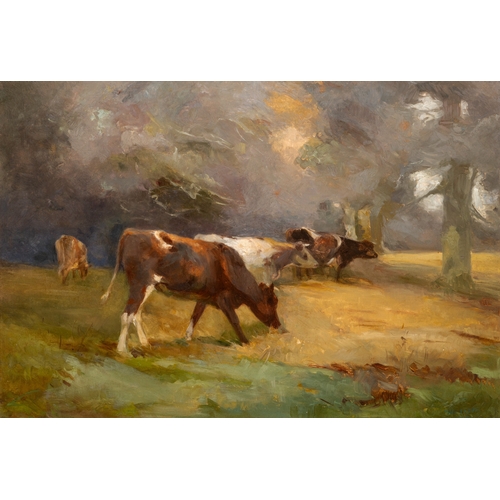 Lot 31        