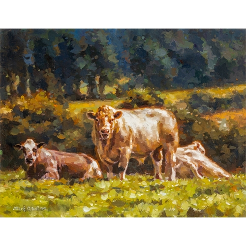 Lot 71        