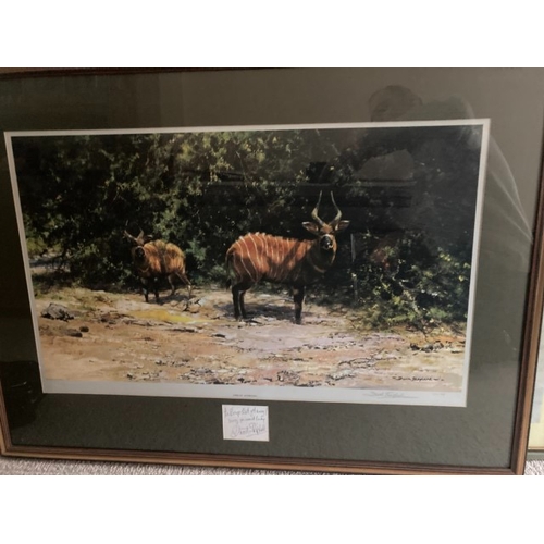 5 - David Shepherd signed limited edition print 614/850 titled 'African Afternoon' with additional frame... 