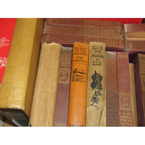 1005 - BOX CONTAINING 31 BOOKS TO INCLUDE THE EVERYMAN ENCYCLOPEDIA AND MISC. OTHER NOVELS