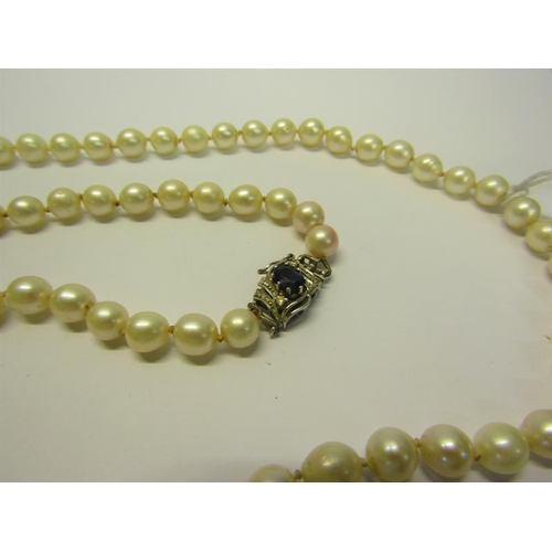 204 - A string of cultured Pearls with a sapphire and diamond set clasp.  Pearls 68cms l.