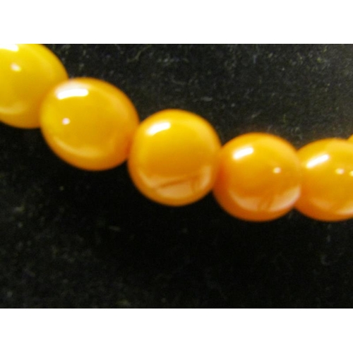 156 - A string of thirty three graduated butterscotch amber beads.  40cms l.  Total weight 38.6g.