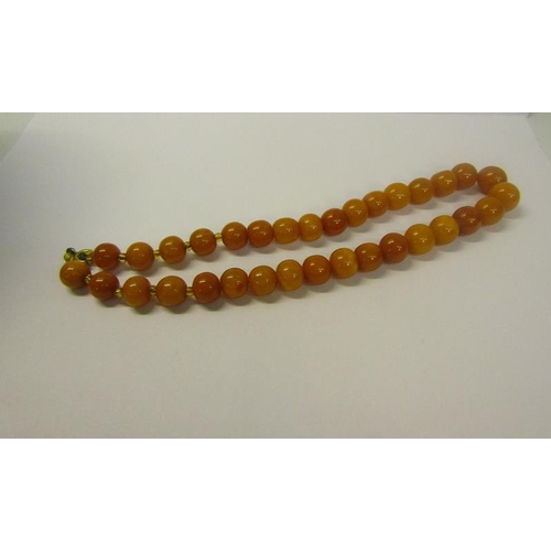 156 - A string of thirty three graduated butterscotch amber beads.  40cms l.  Total weight 38.6g.