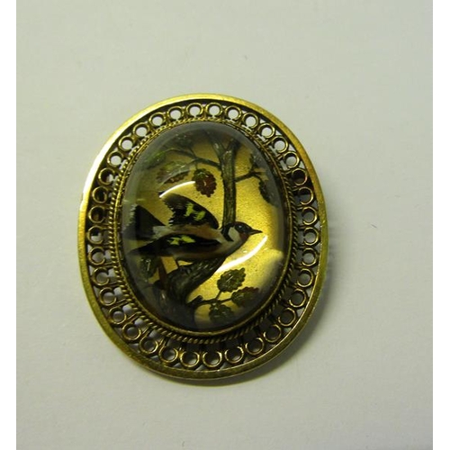 167 - An early 20c gilt metal framed brooch featuring an encased Goldcrest.  3.5cms.