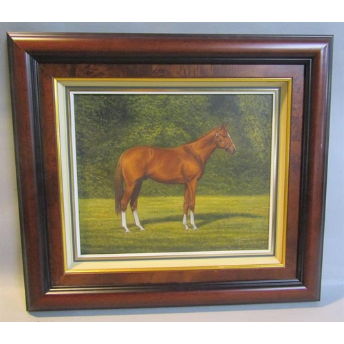 501 - B J Davis - a Chestnut Stallion, signed, oil on canvas.  Framed, 24cms x 29cms.