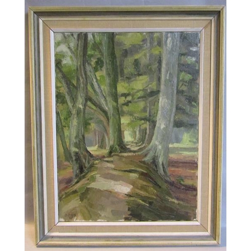 513 - Brian Bennett 67 - Ashridge Woods, signed in mono BTNB '67, oil on canvas, framed.  61cms x 45cms.