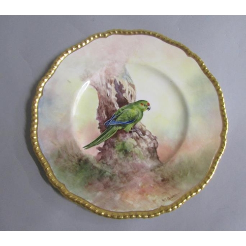 406 - A Coalport hand painted cabinet plate decorated with a Parrot perched on trunk by Richard Budd with ... 