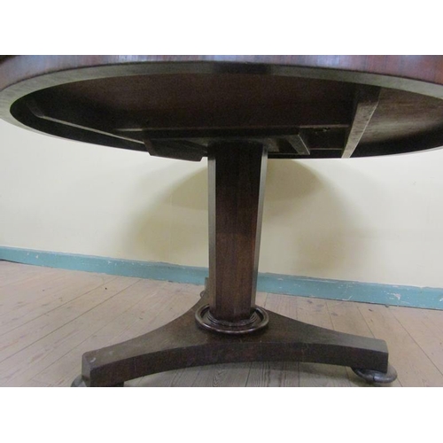 584 - A William IV rosewood circular tilt top breakfast table on a facet column with tripartite base and c... 