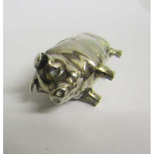 223 - An Edwardian silver pig pin cushion, makers mark for Levi & Salaman, Birmingham 1903.  5cms l.