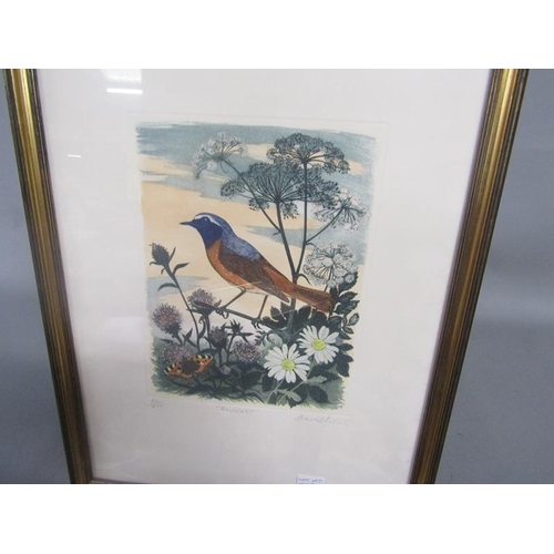 1547 - TWO COLOURED PRINTS REDSTART BY DAVID COSTA 60/200 AND A SUMMER LANE BY STEPEHN WHITTLE 31/275 F/G. ... 