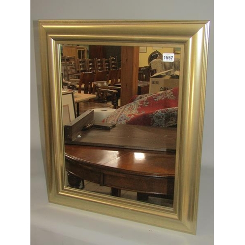 1557 - GILT FRAMED MOULDED WALL MIRROR 53 x 64 cms