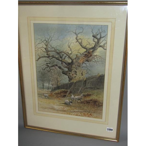 1568 - THOMAS SMYTHE - SHEEP AND THE OLD OAK TREE, WATERCOLOURS.  SIGNED F/G 45 cms x 33 cms