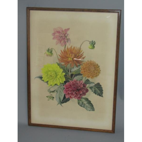 1582 - SHIRLEY POOLE 1962 - PAIR OF FLORAL WATERCOLOURS.  F/G 36 x 26cms