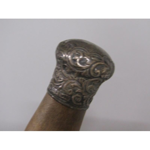 1641 - LATE VICTORIAN/EDWARDIAN CARVED WALKING CANE WITH SILVER KNOP HANDLE CARVED WITH THISTLE 87cms L