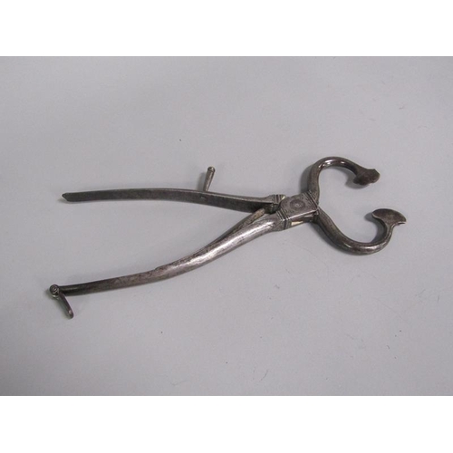 21 - A pair of late steel sugar cutters, 23cm l.