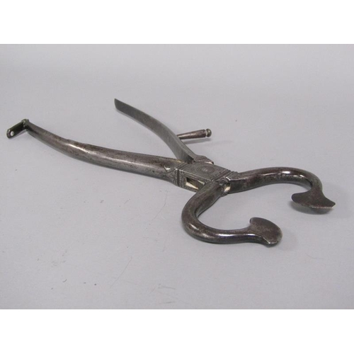 21 - A pair of late steel sugar cutters, 23cm l.