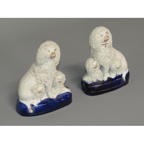 267 - A pair of 19c Staffordshire figures of poodles with pups on oval cobalt blue bases, 13.5cm h.