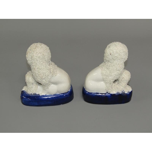 267 - A pair of 19c Staffordshire figures of poodles with pups on oval cobalt blue bases, 13.5cm h.