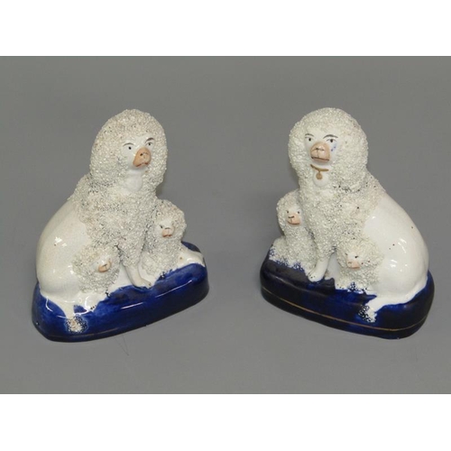 267 - A pair of 19c Staffordshire figures of poodles with pups on oval cobalt blue bases, 13.5cm h.