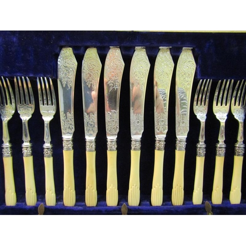 228 - An Edwardian canteen of twenty four fish knives and forks with bone handles, silver blades and prong... 