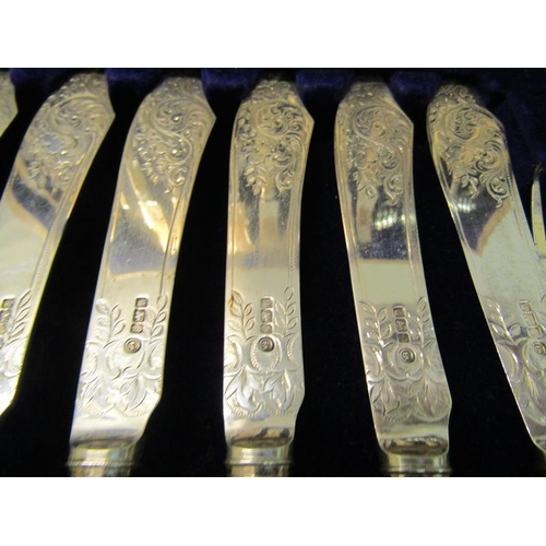 228 - An Edwardian canteen of twenty four fish knives and forks with bone handles, silver blades and prong... 