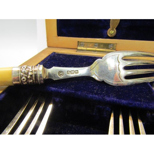 228 - An Edwardian canteen of twenty four fish knives and forks with bone handles, silver blades and prong... 