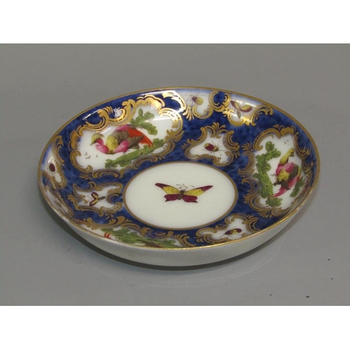 274 - A First period Worcester cup and saucer of scale blue ground painted with exotic birds within ornate... 