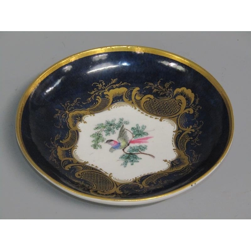 274 - A First period Worcester cup and saucer of scale blue ground painted with exotic birds within ornate... 