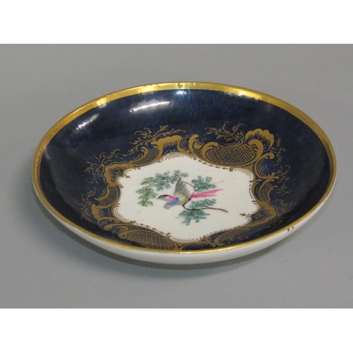 274 - A First period Worcester cup and saucer of scale blue ground painted with exotic birds within ornate... 