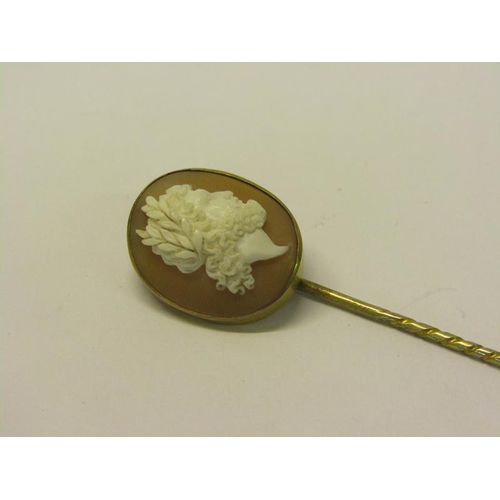 148 - An Edwardian gilt metal cameo stick pin, 7cml.