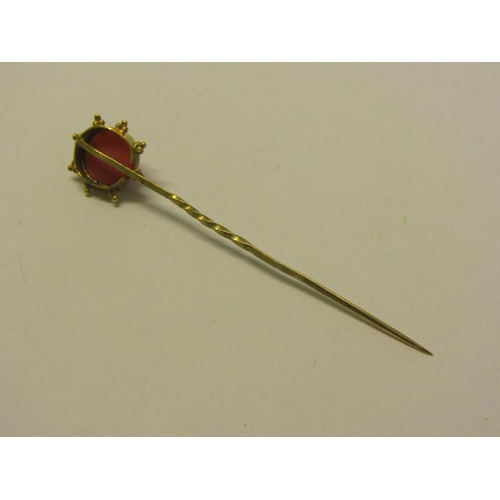 151 - An Edwardian gold stick pin with carved coral mask setting, 6cm l.